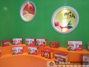 柳州電子商務 方興未艾，大有可為